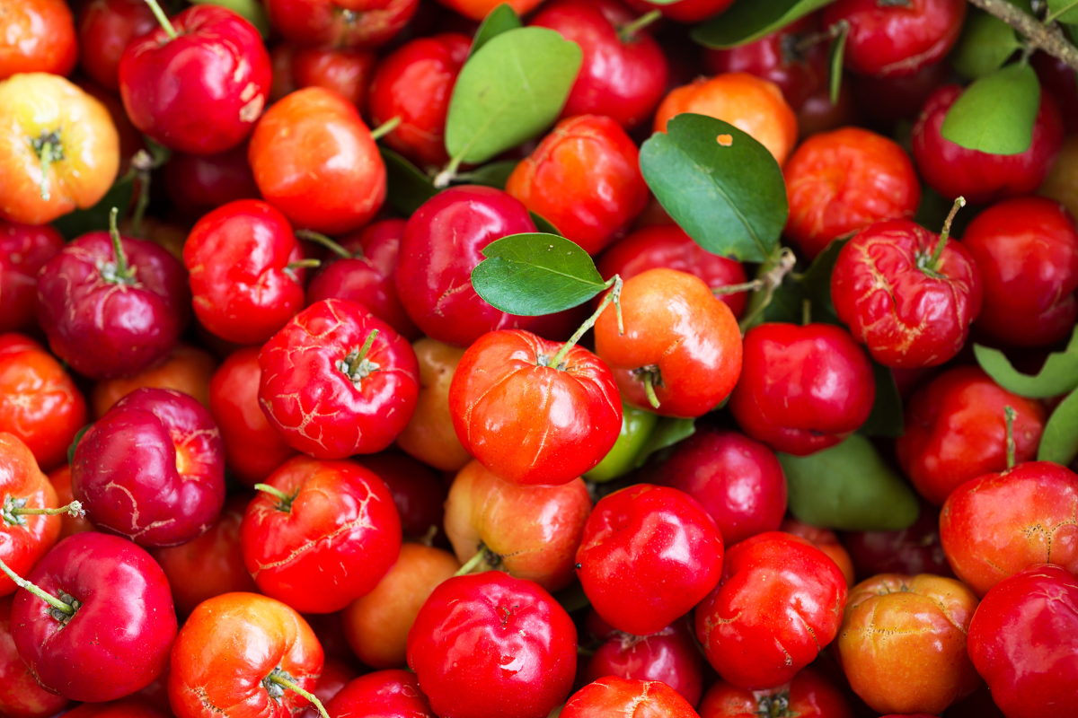 Vitamin C - från acerola körsbärsextrakt (Malpighia glabra) celloptimum