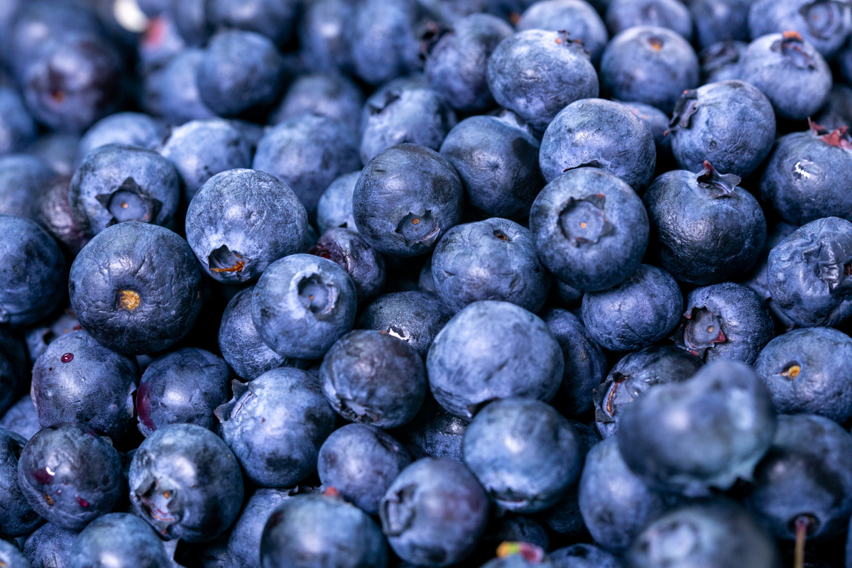 Kollagen & blåbär för huden collagen blueberries skin celloptimum supplement kosttillskott