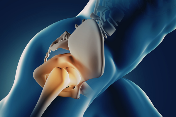 Kollagen för starka leder, brosk och senor