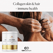 COLLAGEN IMMUNE SUPPORT